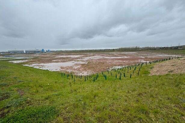 Anger at plans for big energy storage plant on Sutton Coldfield greenfield land