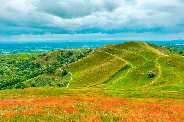 England's 'best picnic spot' is in a town with a cosy cafe for coffee and cake afterwards