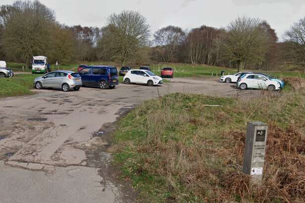 Driver's van stolen while he buys ice cream on High Gate Common car park