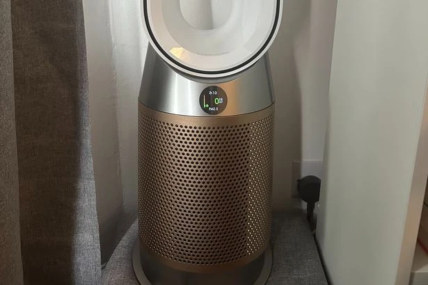 'I tried Dyson's Formaldehyde air purifier for my hayfever and it's been a game changer'