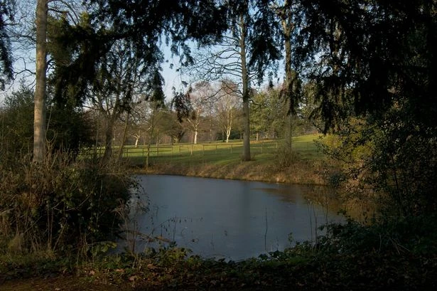Pervert, 44, exposed himself at park because he has 'never had a girlfriend'