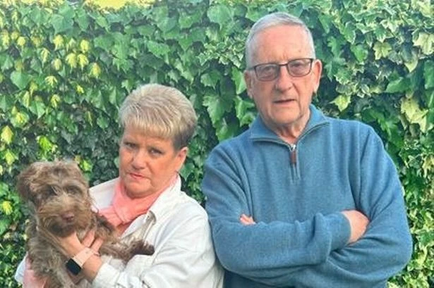 Couple may have to sell home to pay £23k vet bill after pet savaged by dog