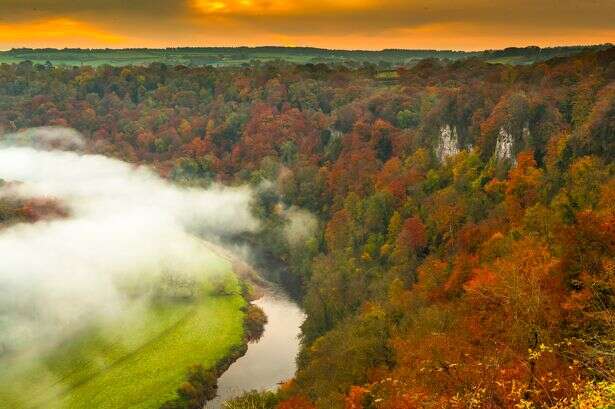 Amazing autumn forest drive in UK that looks 'like Canada' with cosy Sunday roast pub