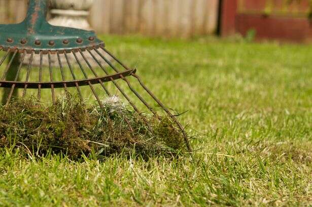 The genius £1 coin hack to get your grass looking lush this autumn