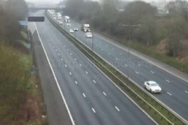 Police appeal after M6 lorry driver killed in crash