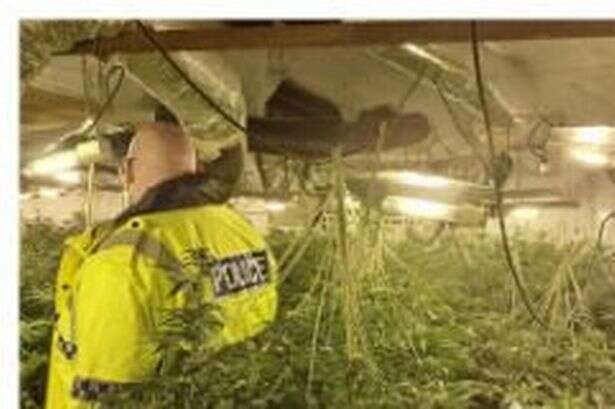 Huge £150k cannabis factory hidden at Worcestershire farm building raided