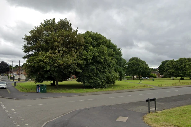 Boy arrested following spate of fires in 72 hours