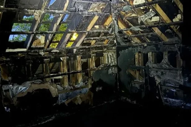 Family's 'living nightmare' as pet dies in house fire 'caused by exploding toy'