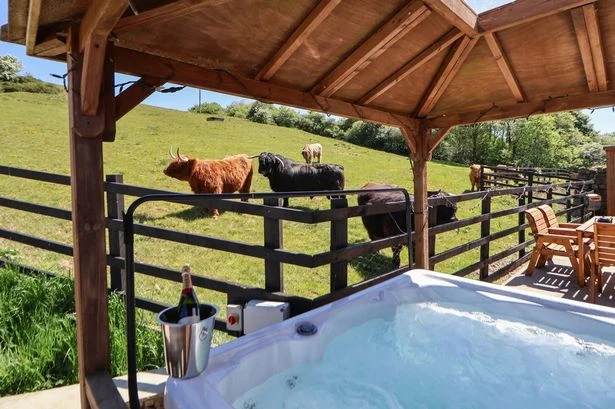 The 'beautiful' hot tub cottage with Highland cows near Birmingham named among UK best