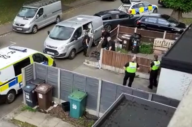 'All dogs have the potential to attack' - Readers react as dogs seized following attack