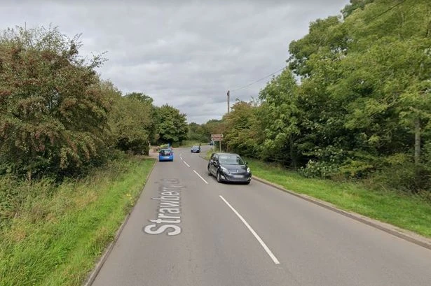 Body of pregnant dog found beside the road in Great Wyrley