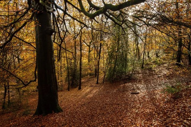 Parking charges plan for popular Birmingham parks despite backlash - full list