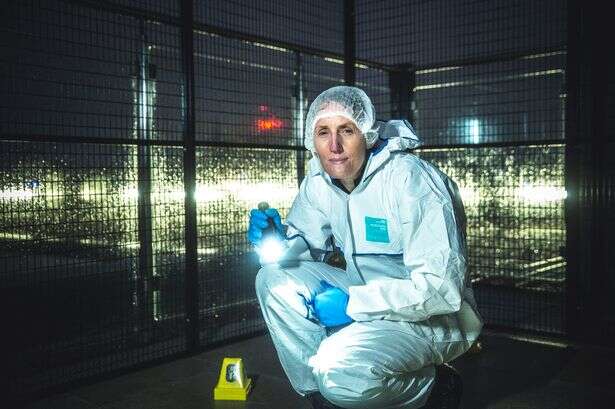 'I work in forensics and starred in BBC documentary - these are the murders that stay with me'