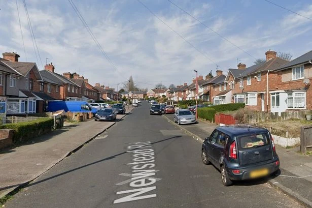 Birmingham dog owner jailed for leaving Boxer with horror injury after fight