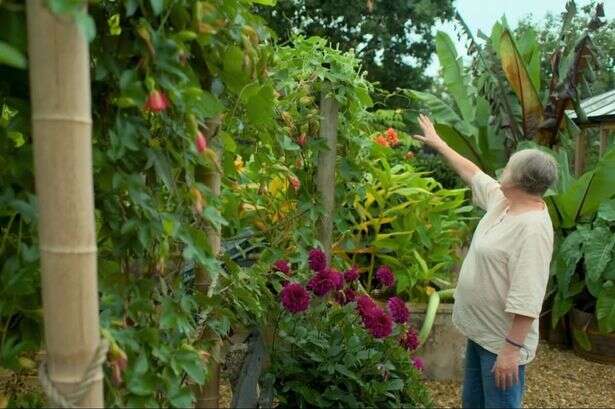 Gardeners' World couple transformed bungalow's garden into stunning subtropical paradise