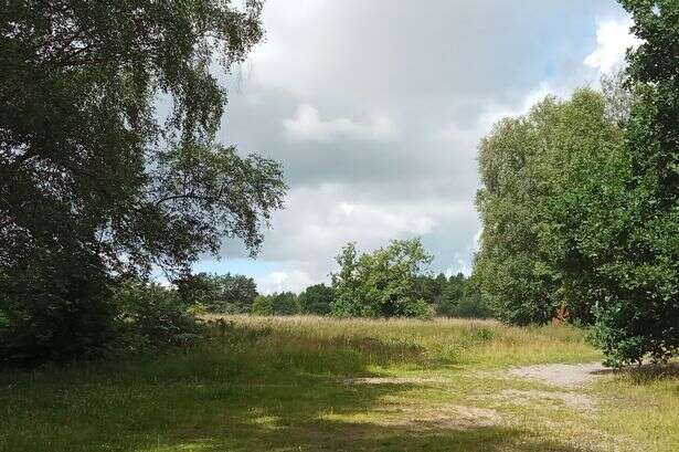 Couple encounter creature with 'yellow eyes, huge teeth and an ear piercing howl' at Cannock Chase