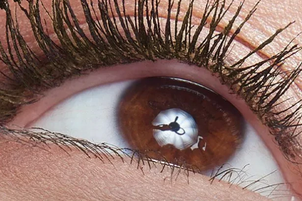 'I was a Boots makeup artist - just one stroke of this £13 mascara left me impressed'