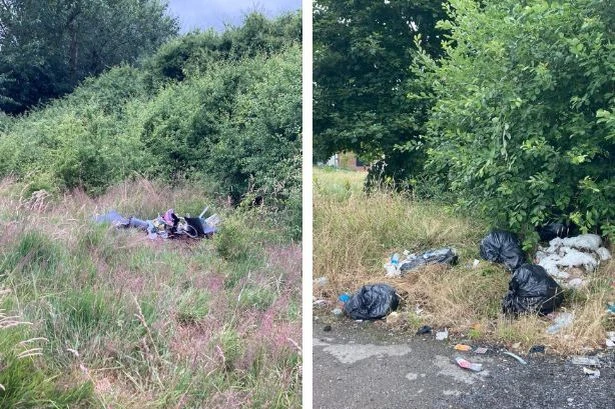 Walsall Council’s grass cutting strategy to undergo ‘big review’