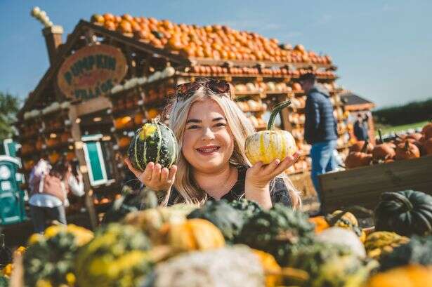 The new 'Instagram-ready' Pumpkin Village in National Forest Staffordshire - in pictures