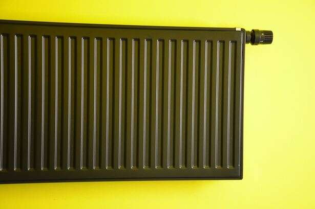 'I'm an energy expert and this is why you shouldn't paint your radiator black'