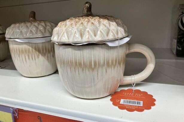 The 'cosy autumn' treats we found at B&M - in pictures