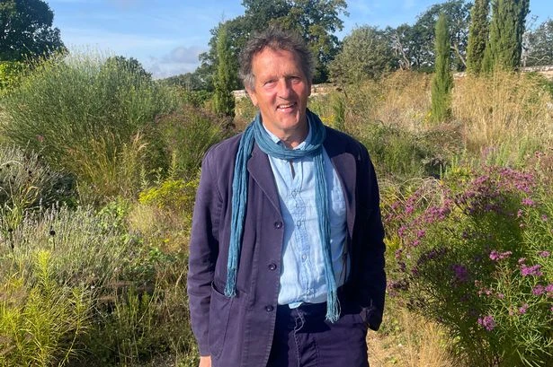 Monty Don's September gardening trick that gives you plants for free