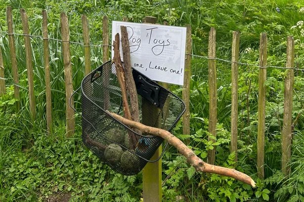 Pictures of 'secret' park in Moseley which is only open on certain days of the week