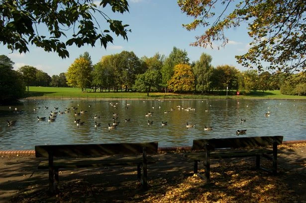 Public urged to 'stay away' from Small Heath Park lake after birds and fish found dead