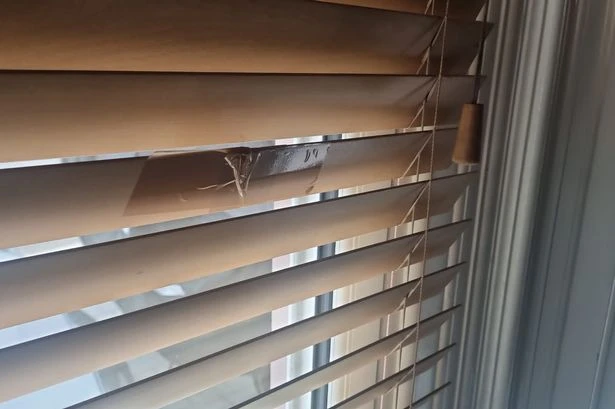 Any UK household with blinds issued warning ahead of heatwave