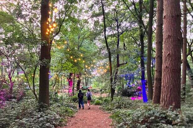 The magical woodland transformed into a family paradise only an hour from Birmingham