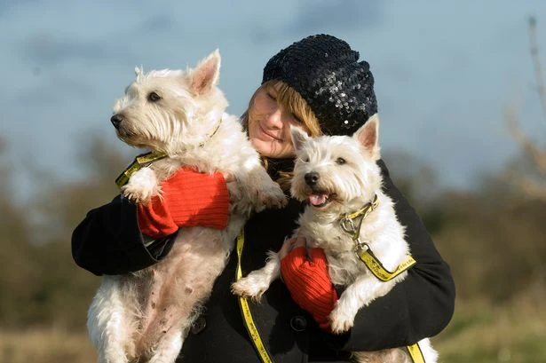 Vet shares heartwarming reason why dogs 'nudge' their owners