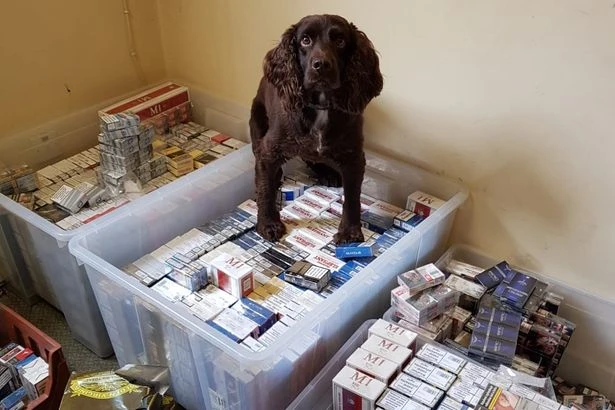 Walsall crackdown sees £85k of illicit tobacco seized during raids