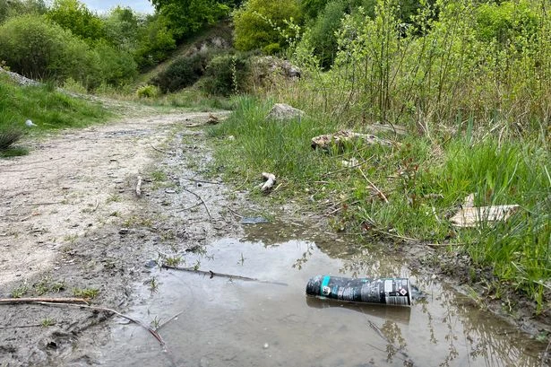 I visited Midland woodland known for its healing water but found a litter-ridden puddle