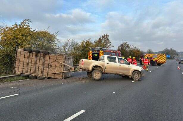 Cattle trailer overturns on M6 as fire service issues update on animals