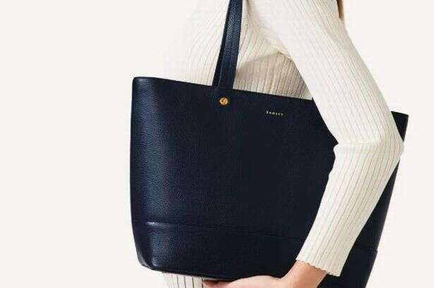 Radley bag hailed as bargain 'alternative to Louis Vuitton' cabin bag reduced by £144 in online sale