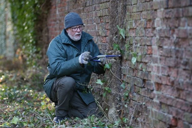 Four 'danger' plants that must be removed from your garden immediately