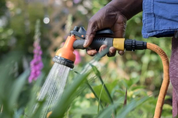 Hosepipe bans announced as UK prepares for heatwave