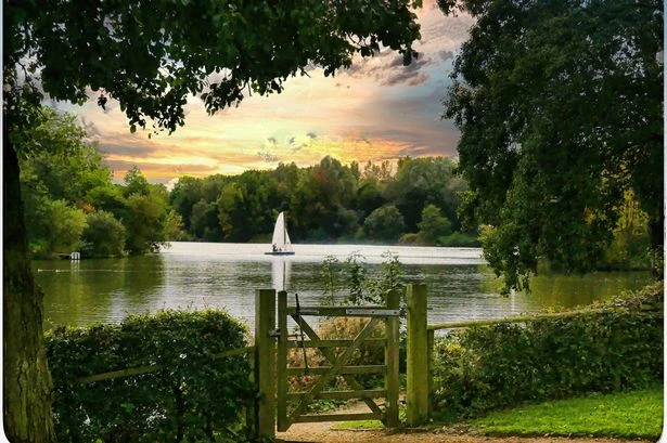 The hidden wildflower 'beauty spot' with play area, lake, cafe and 'stunning' meadows