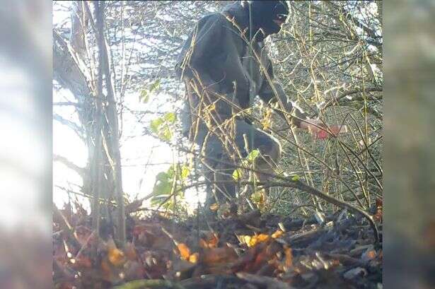 Man, 24, avoids jail over badger sett interference