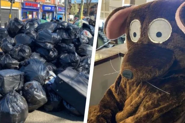 Five defining moments in Birmingham bins strike as grim milestone reached