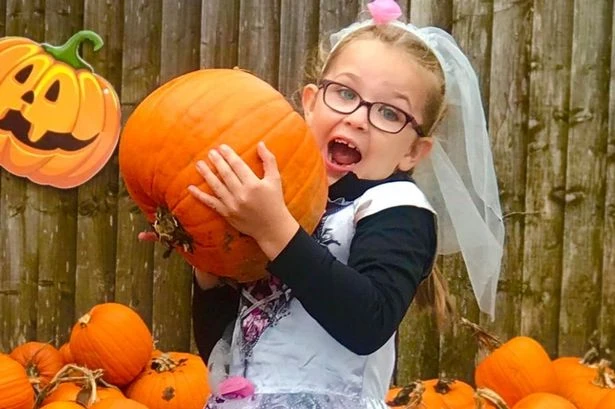 The Halloween 'scream park' which is 'perfect for kids' just 80 minutes from Birmingham