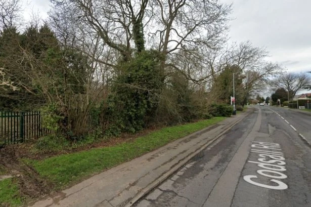 Residents urged to object to 'monstrous' 5G mast at Midlands golf club