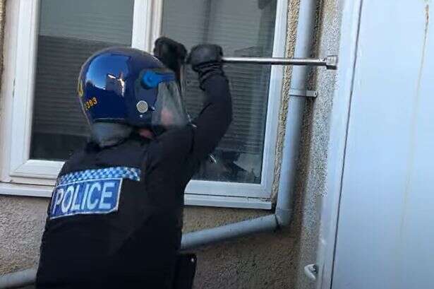 Moment police storm home and seize '150 cannabis plants' after noticing roof 'glowing'