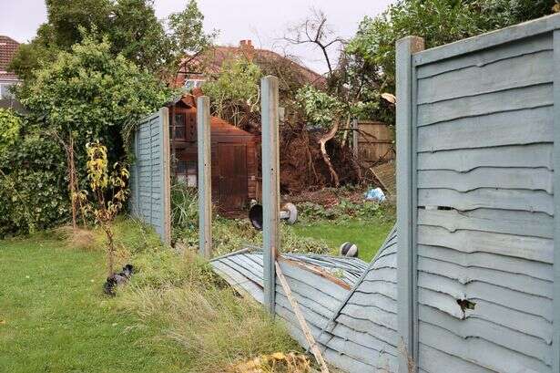 Tornado tears through trees, fences and roofs in suburban streets