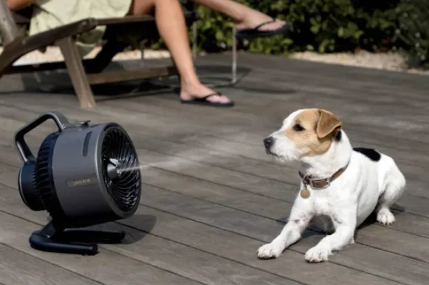 Shark's 'game-changing' misting fan that's 'small but mighty' now less than £100