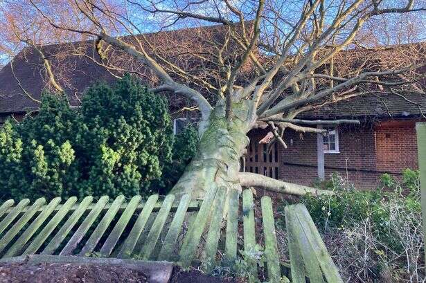 Parishioners told 'please pray' after tree falls onto Staffordshire church as Storm Darragh hits UK