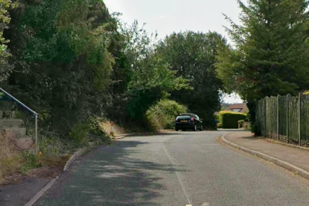 Appeal after car with 'BAB' number plate taken from driveway