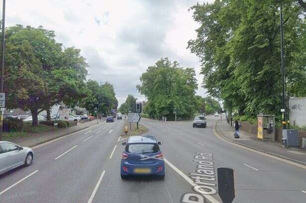 Hagley Road blocked live as drivers warned 'heavy delays' after tree falls