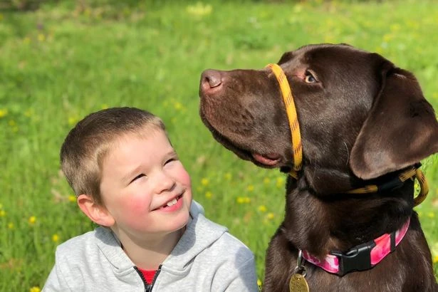 Mum appeals for dog to help her autistic son get to school