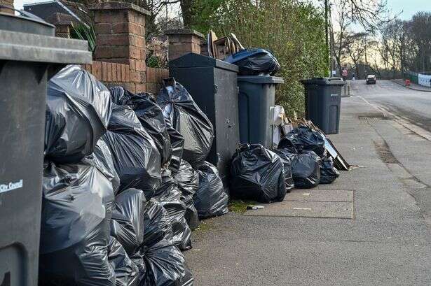 Birmingham bins strike - what we know about black sacks, recycling and garden rubbish collections